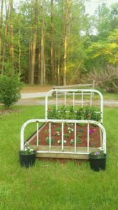 flowers planted in an old metal bed frame