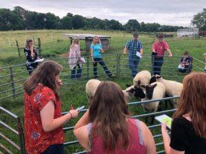Cover photo for Advanced Livestock Judging Program Interest Form