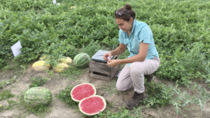 Image of a woman with a watermelon