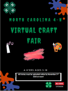 Cover photo for 2020 4-H Craft Fair
