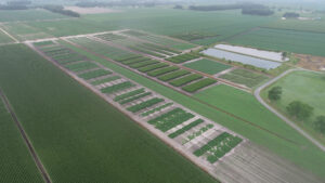 An aerial photo showing vast farm field plots.