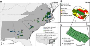 Cover photo for Sampling Plans for Plant Bugs – Challenges of Monitoring Aggregated Pest Populations