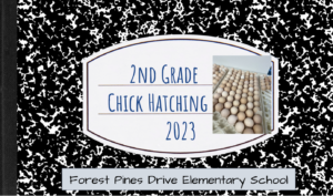 picture of chick hatching journal