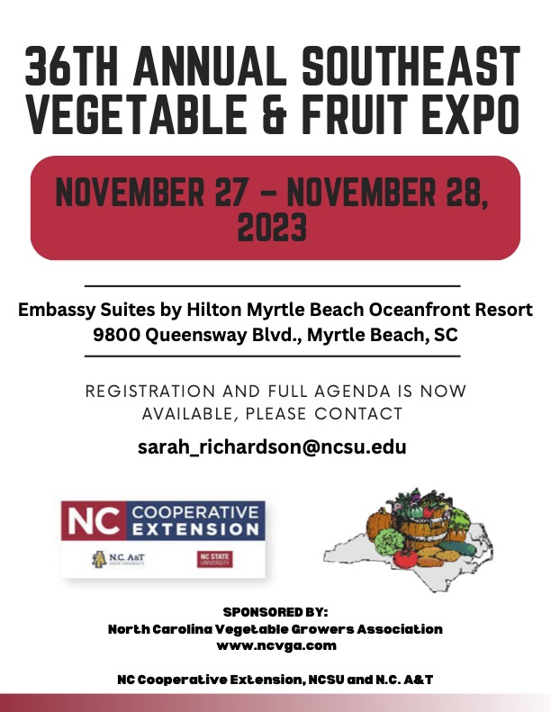 Vegetable and Fruit Expo Flyer
