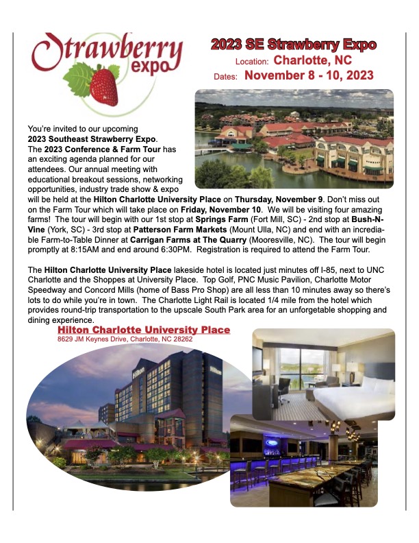 Strawberry Expo Flyer