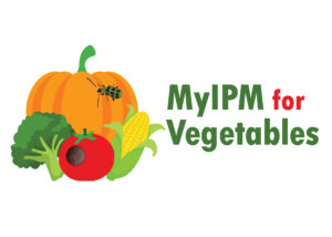 Cover photo for New Tool for Growers: MyIPM for Vegetables App