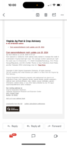 Cover photo for Moth Flight Virginia Report Peanut Notes No. 172 2024