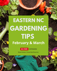 Cover photo for March Towards Spring With These Gardening Tips!