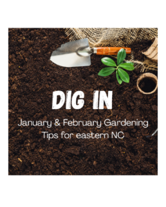 Cover photo for Dig In: January & February Gardening Tasks